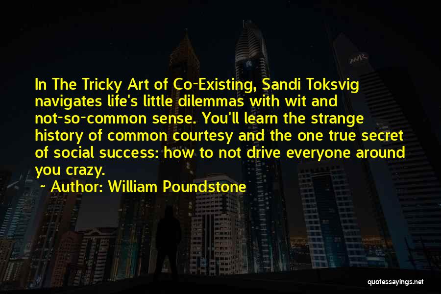 The Secret Of Success Quotes By William Poundstone