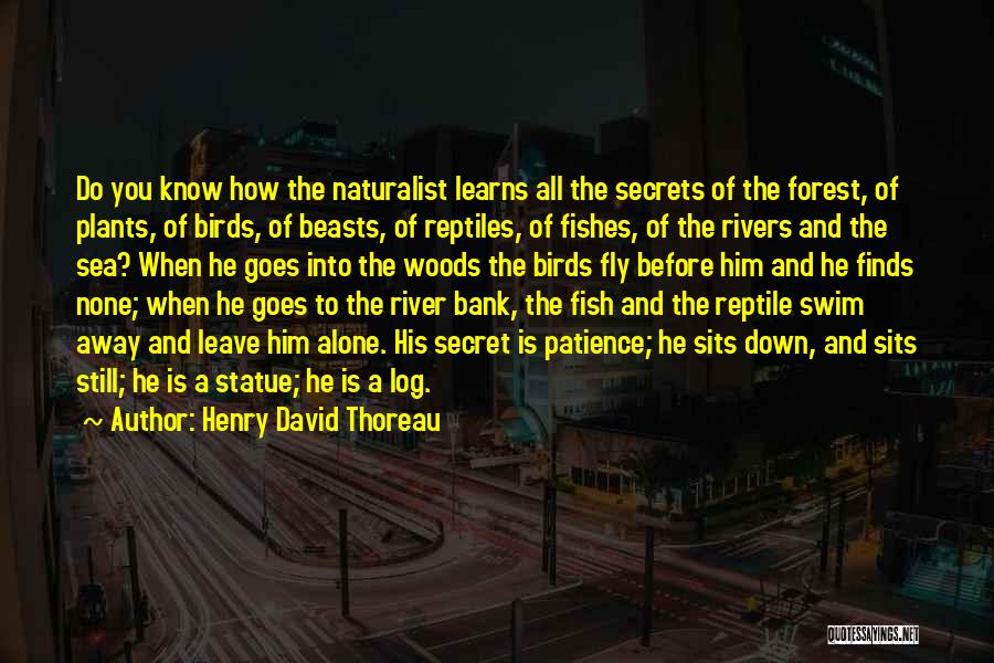 The Secret River Quotes By Henry David Thoreau