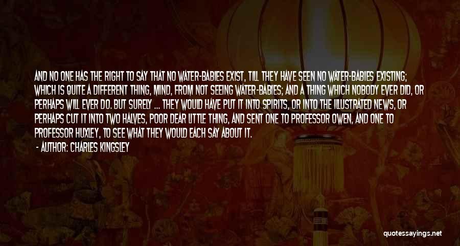 The Seeing See Little Quotes By Charles Kingsley