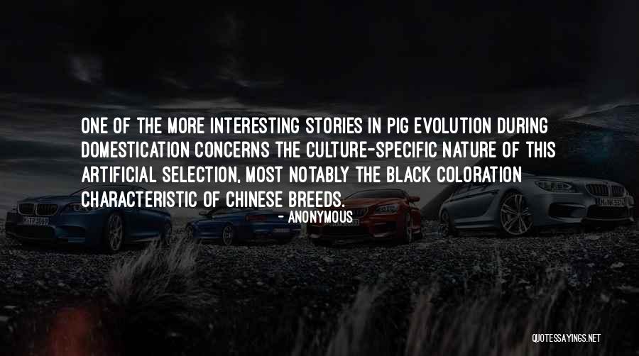 The Selection Stories Quotes By Anonymous The Selection Stories Quotes By Anonymous