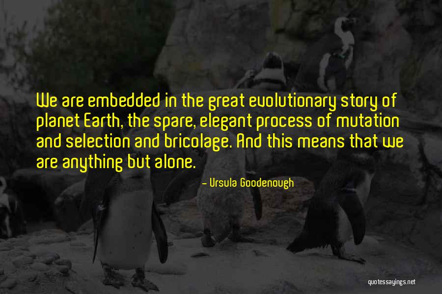 The Selection Stories Quotes By Ursula Goodenough The Selection Stories Quotes By Ursula Goodenough