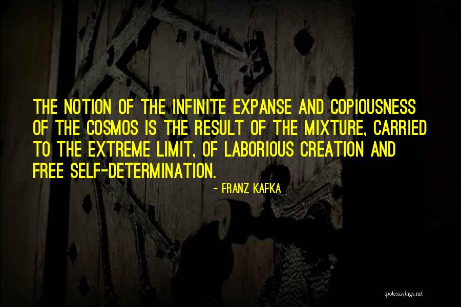 The Self And The Infinite Quotes By Franz Kafka The Self And The Infinite Quotes By Franz Kafka