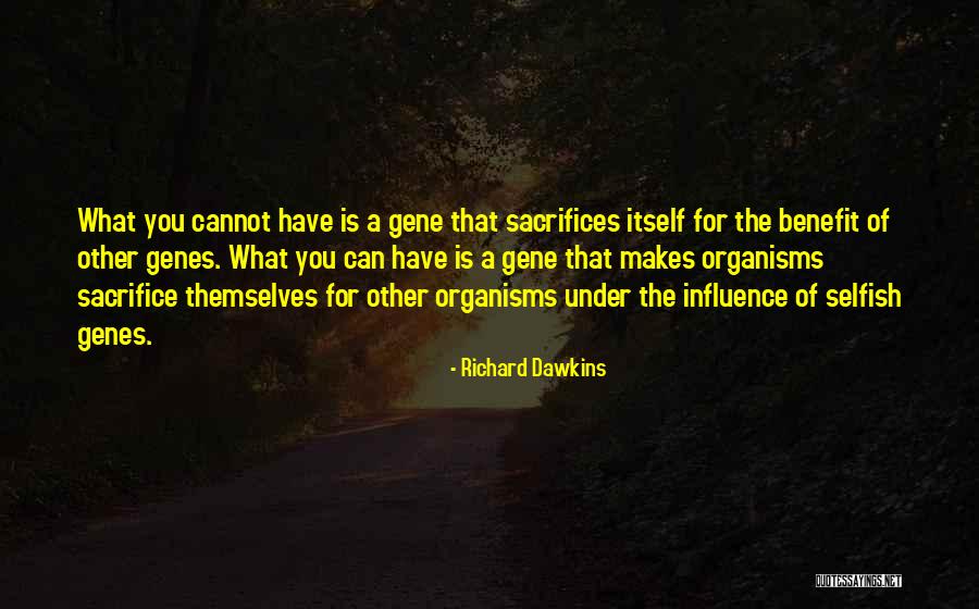 The Selfish Gene Best Quotes By Richard Dawkins