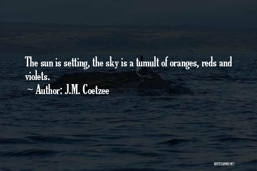 The Setting Sun Quotes By J.M. Coetzee