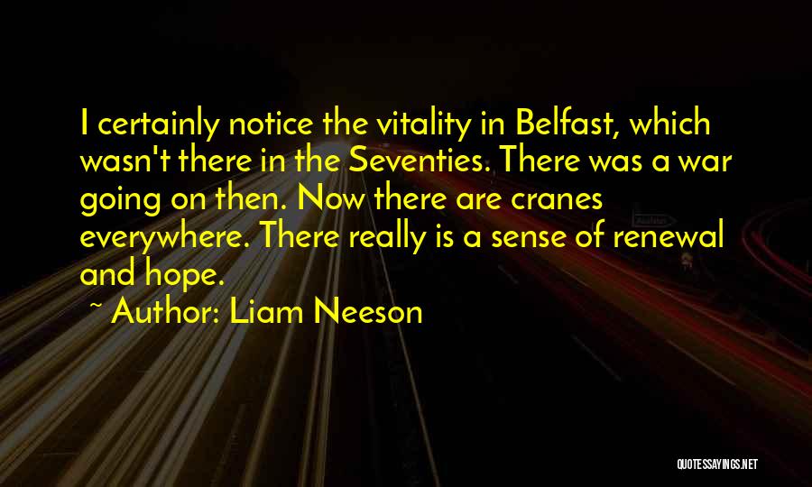 The Seventies Quotes By Liam Neeson