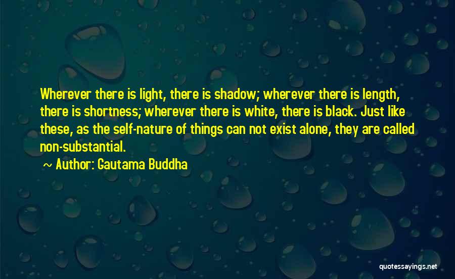 The Shadow Self Quotes By Gautama Buddha