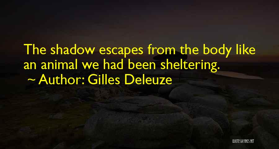 The Shadow Self Quotes By Gilles Deleuze