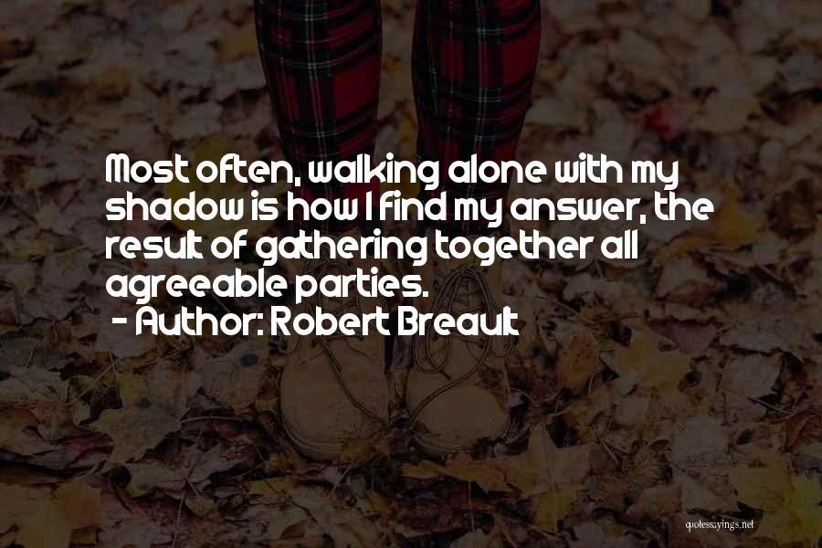 The Shadow Self Quotes By Robert Breault