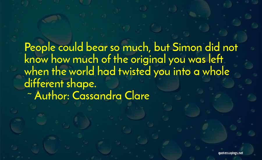 The Shadowhunter Academy Quotes By Cassandra Clare