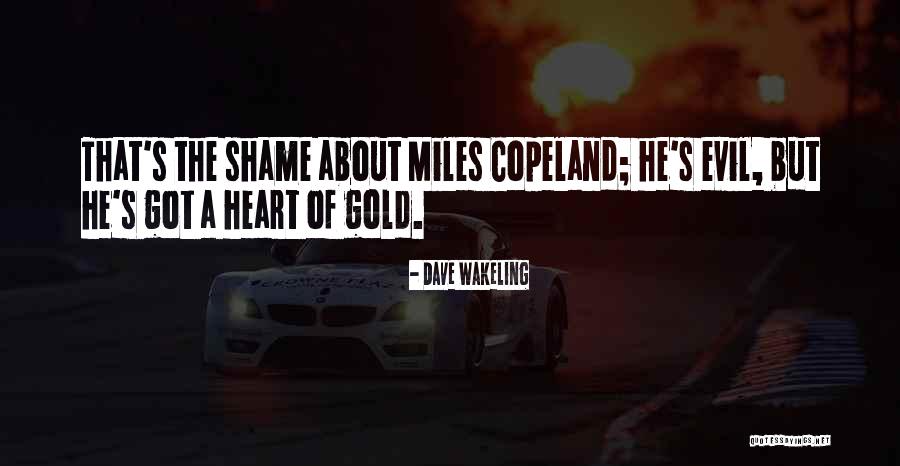The Shame Of Gold Quotes By Dave Wakeling