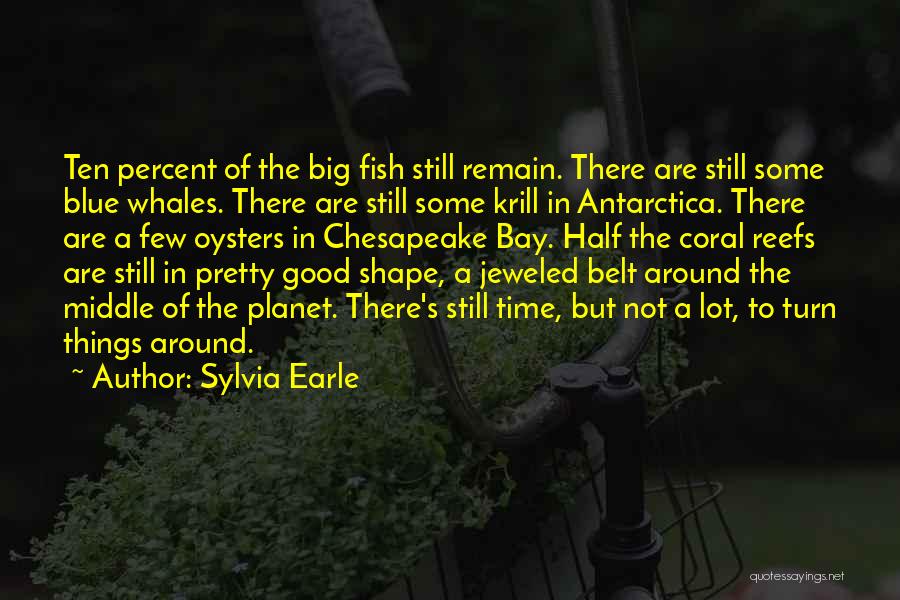 The Shape Of Things Quotes By Sylvia Earle