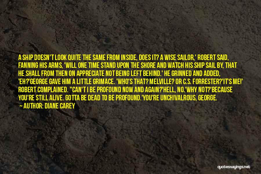 The Ship Quotes By Diane Carey