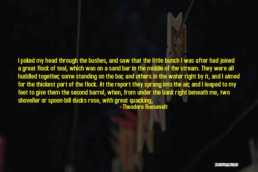 The Shoveller Quotes By Theodore Roosevelt The Shoveller Quotes By Theodore Roosevelt