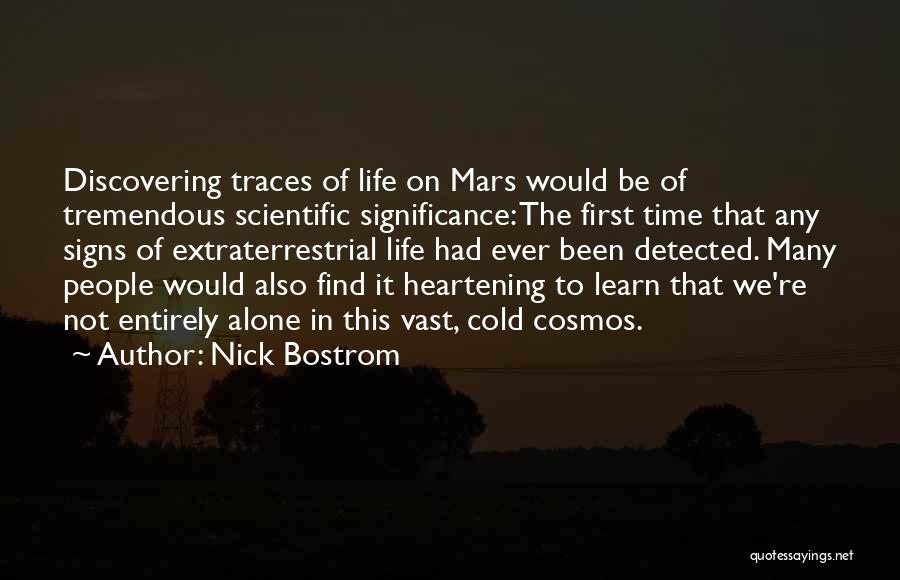 The Significance Of Time Quotes By Nick Bostrom