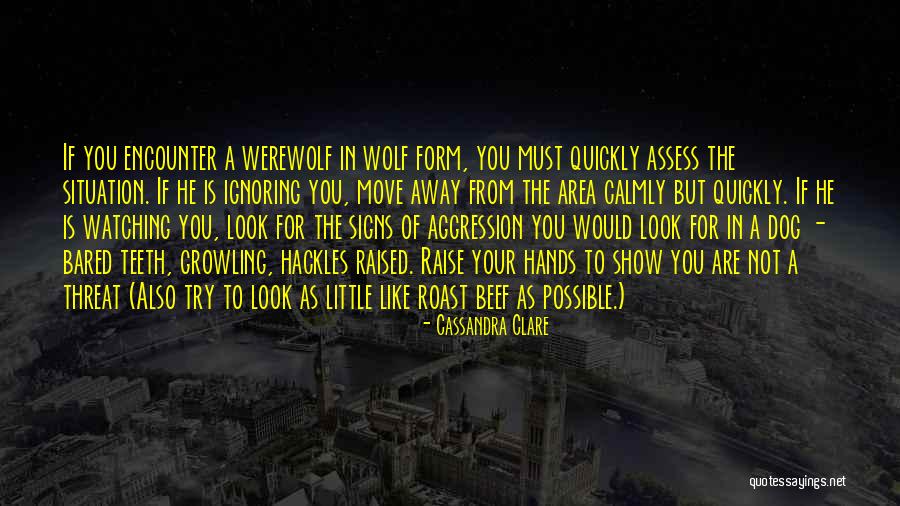 The Signs Quotes By Cassandra Clare The Signs Quotes By Cassandra Clare