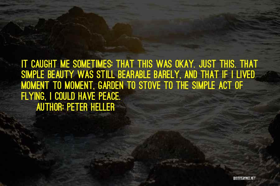 The Simple Beauty Quotes By Peter Heller