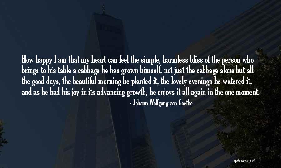 The Simple Days Quotes By Johann Wolfgang Von Goethe