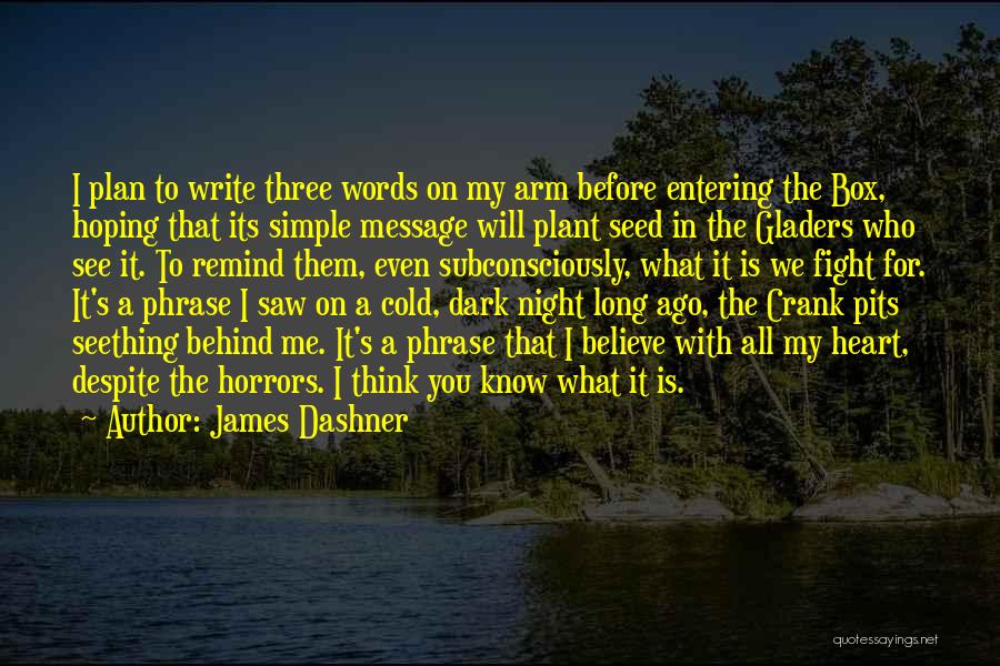 The Simple Plan Quotes By James Dashner