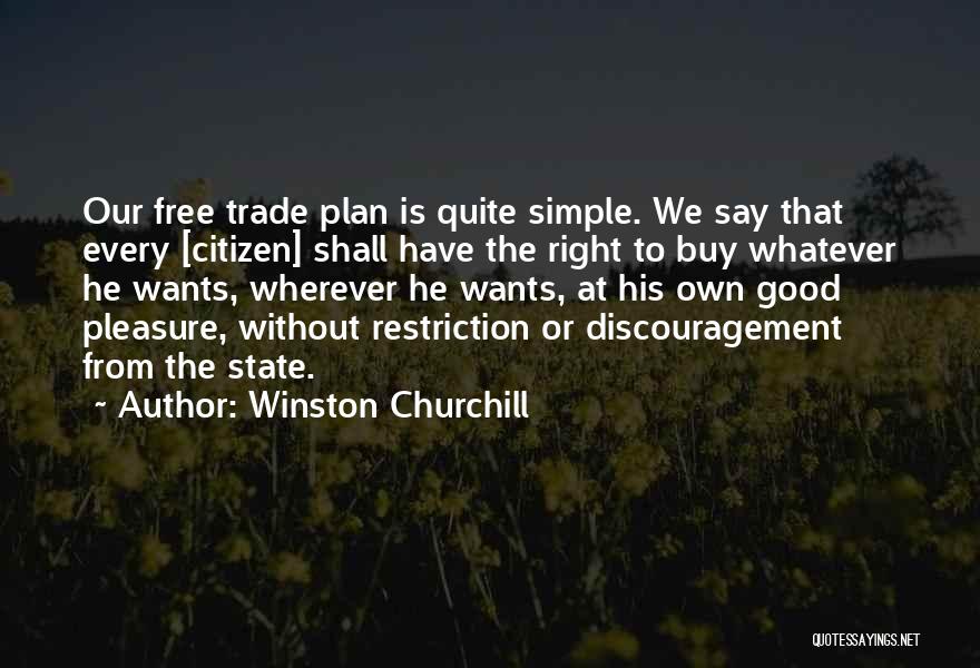 The Simple Plan Quotes By Winston Churchill