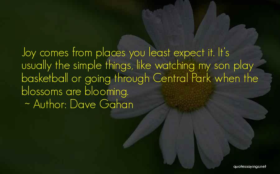 The Simple Things Quotes By Dave Gahan