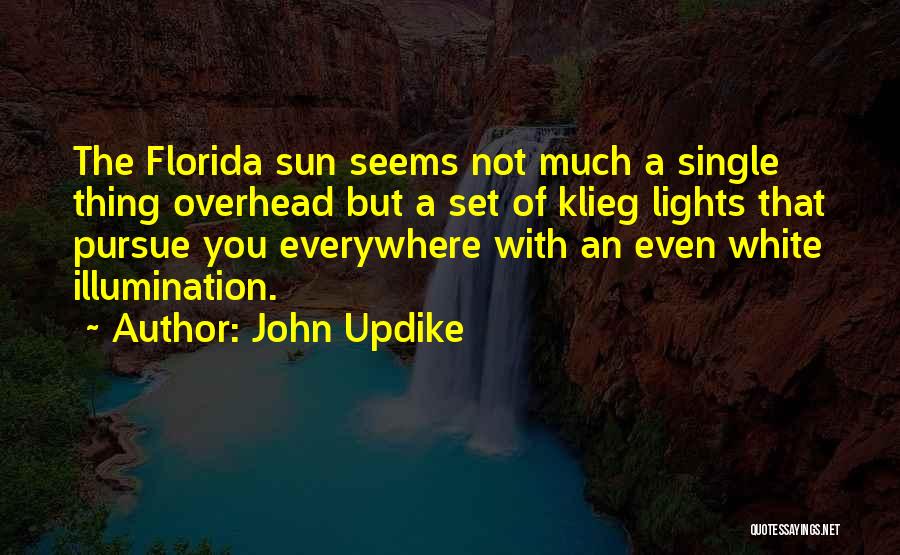 The Single Quotes By John Updike