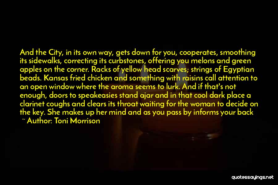 The Single Woman Quotes By Toni Morrison The Single Woman Quotes By Toni Morrison