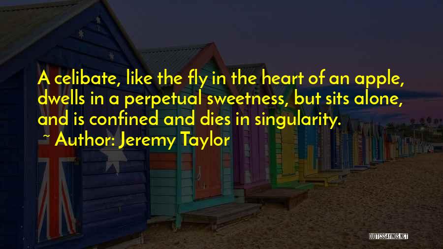 The Singularity Quotes By Jeremy Taylor