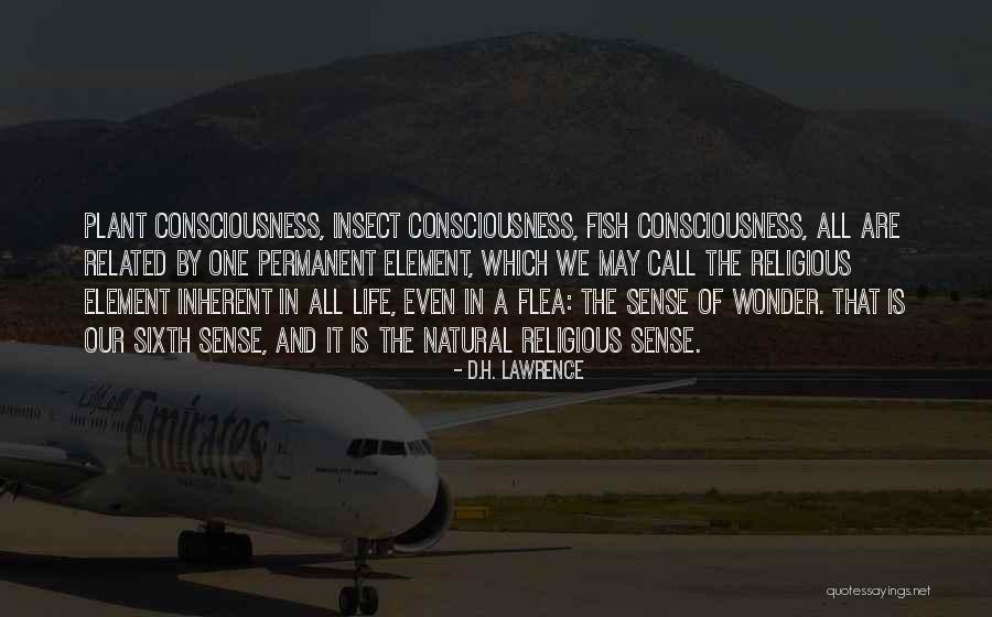 The Sixth Sense Quotes By D.H. Lawrence The Sixth Sense Quotes By D.H. Lawrence