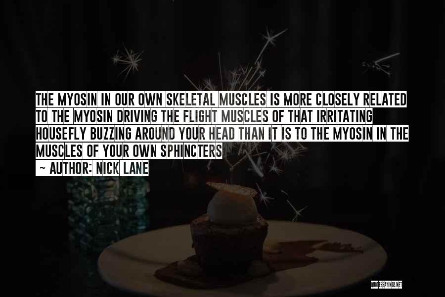 The Skeletal Muscle Quotes By Nick Lane