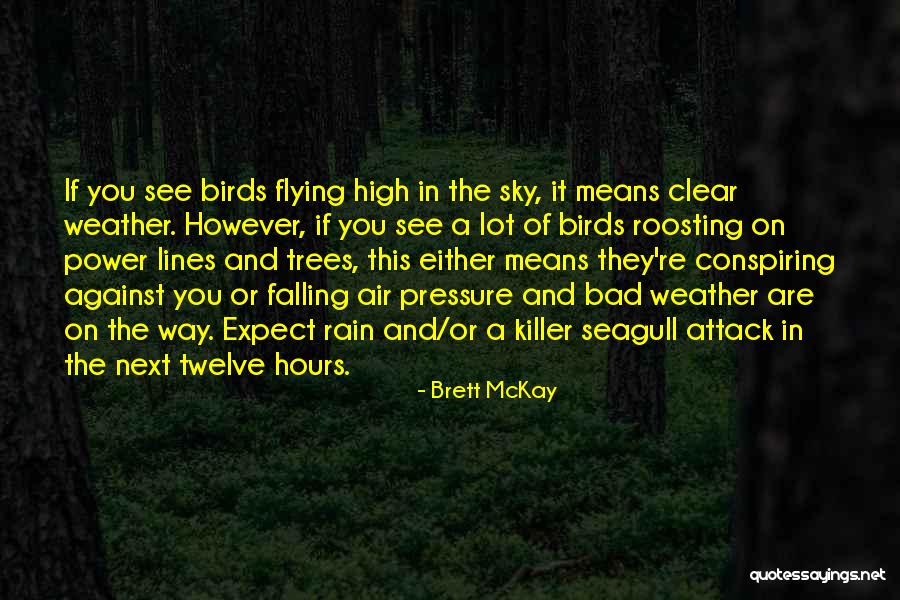 The Sky And Flying Quotes By Brett McKay