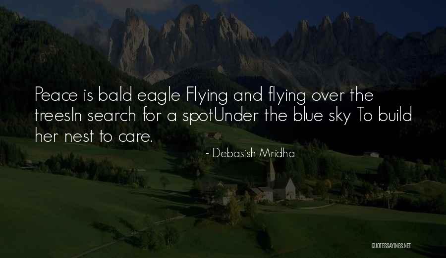 The Sky And Flying Quotes By Debasish Mridha