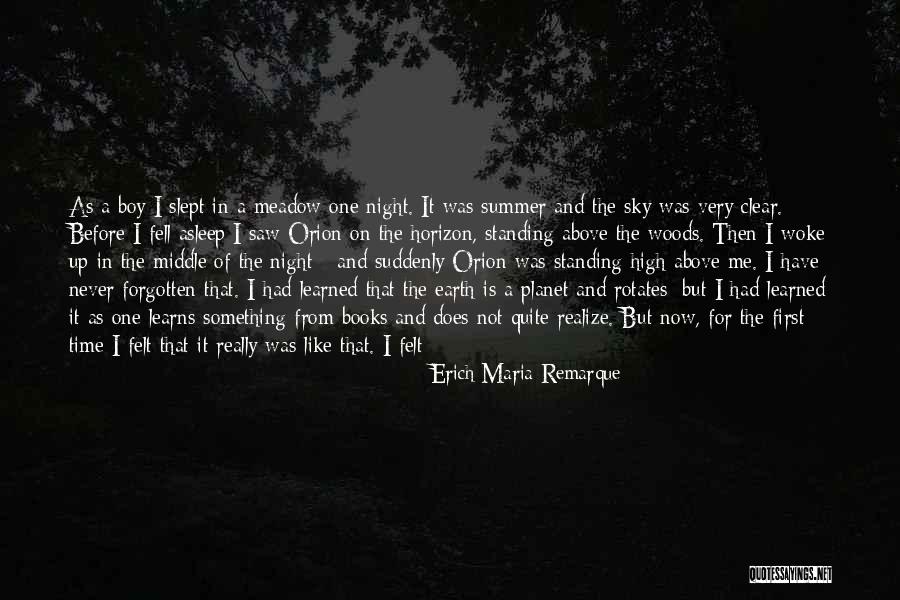 The Sky And Flying Quotes By Erich Maria Remarque