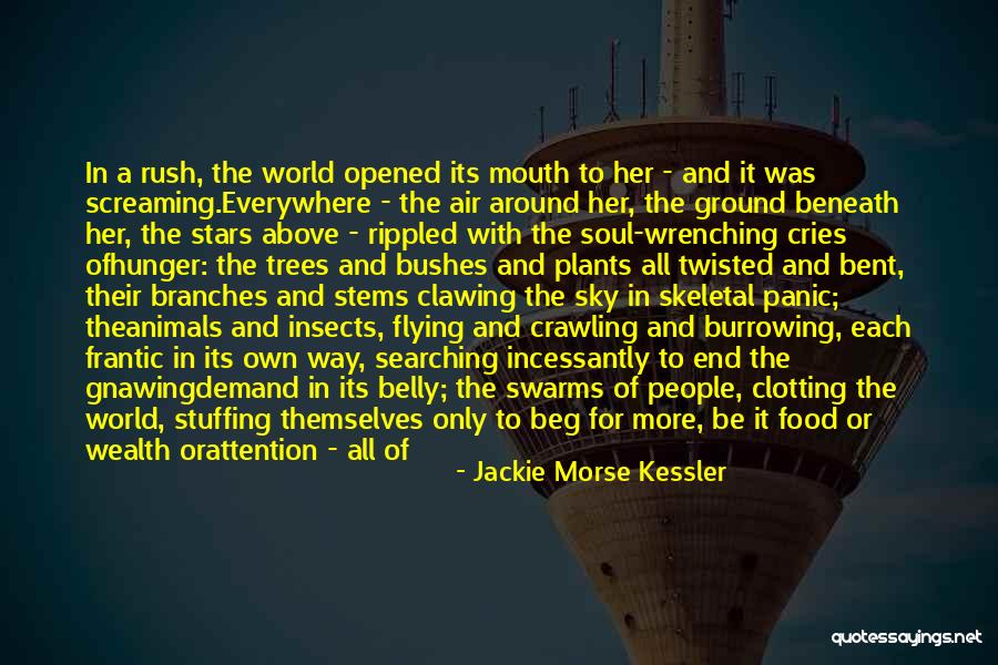 The Sky And Flying Quotes By Jackie Morse Kessler