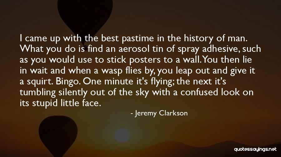 The Sky And Flying Quotes By Jeremy Clarkson