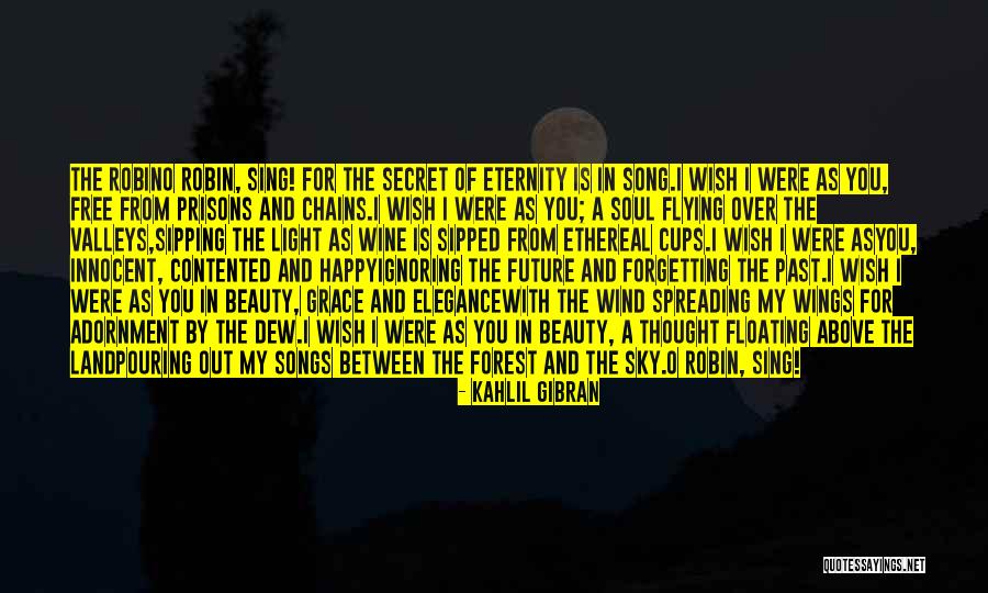 The Sky And Flying Quotes By Kahlil Gibran