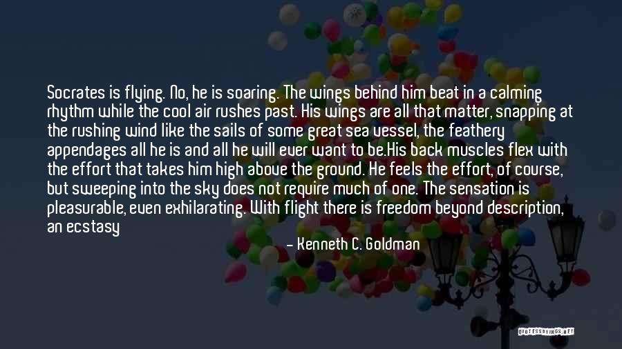 The Sky And Flying Quotes By Kenneth C. Goldman