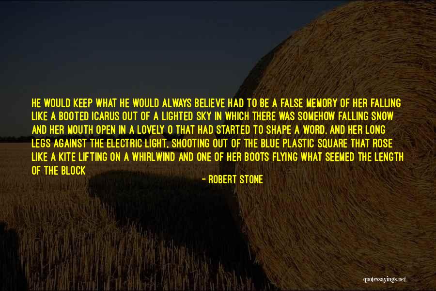 The Sky And Flying Quotes By Robert Stone