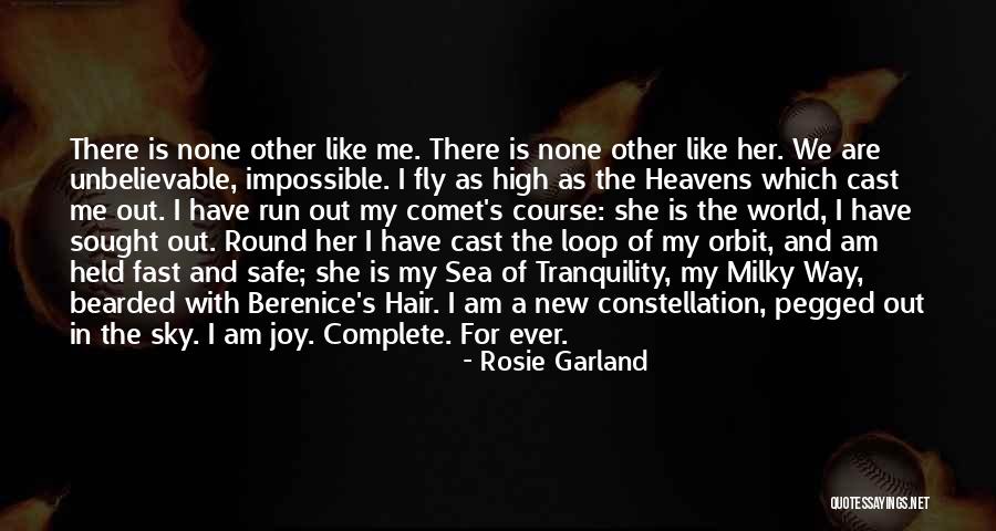 The Sky And Flying Quotes By Rosie Garland