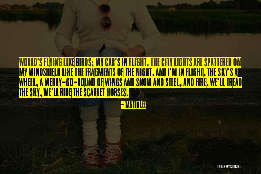 The Sky And Flying Quotes By Tanith Lee