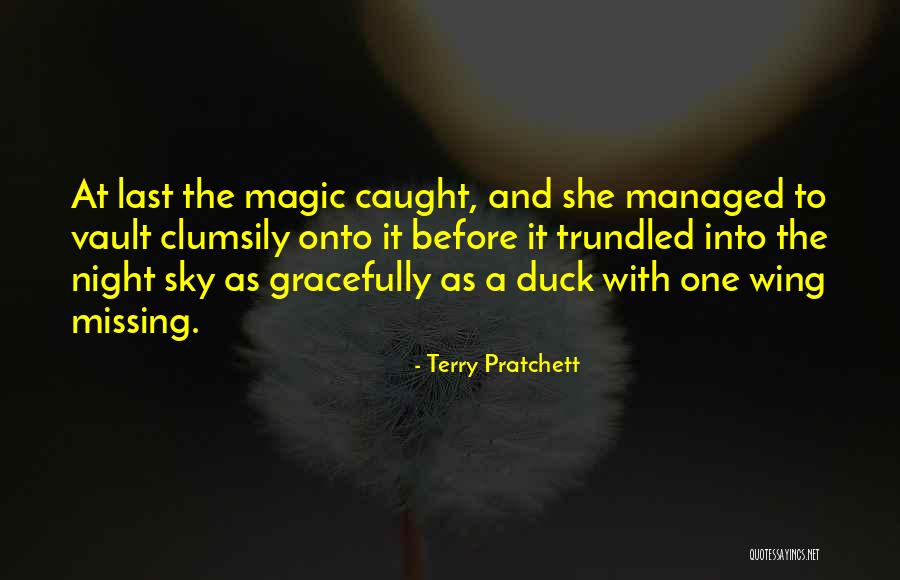 The Sky And Flying Quotes By Terry Pratchett