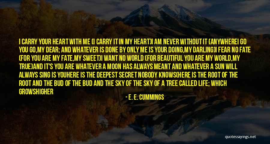 The Sky And Hope Quotes By E. E. Cummings