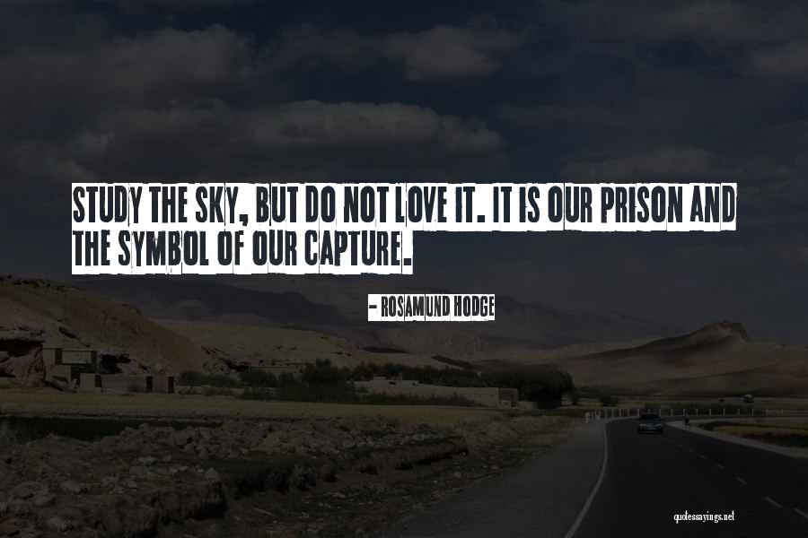 The Sky And Love Quotes By Rosamund Hodge The Sky And Love Quotes By Rosamund Hodge