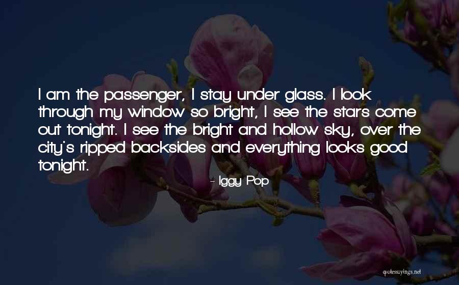 The Sky And Stars Quotes By Iggy Pop