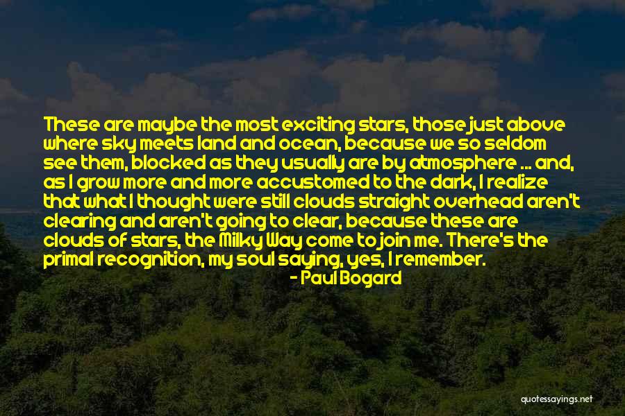 The Sky And Stars Quotes By Paul Bogard