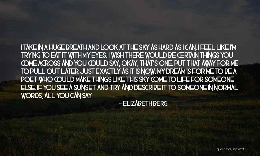 The Sky And Sunset Quotes By Elizabeth Berg