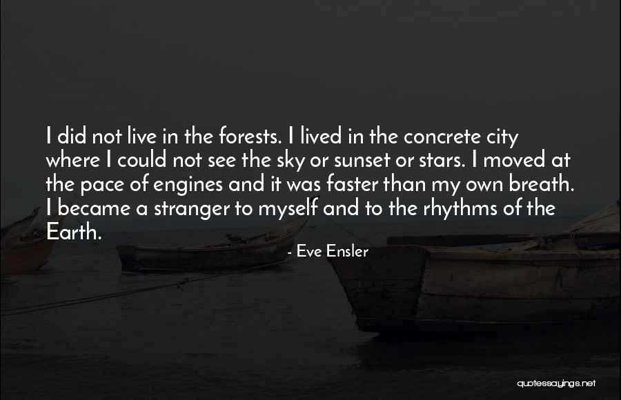 The Sky And Sunset Quotes By Eve Ensler