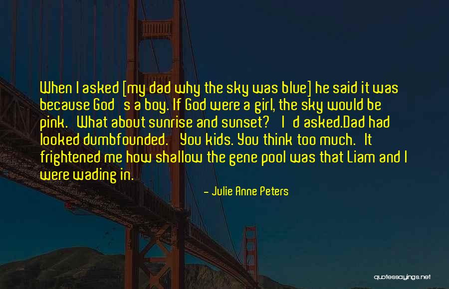 The Sky And Sunset Quotes By Julie Anne Peters