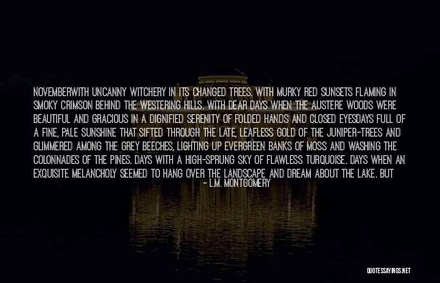 The Sky And Sunset Quotes By L.M. Montgomery
