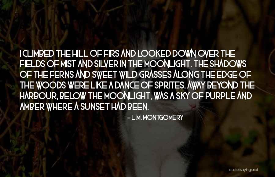 The Sky And Sunset Quotes By L.M. Montgomery