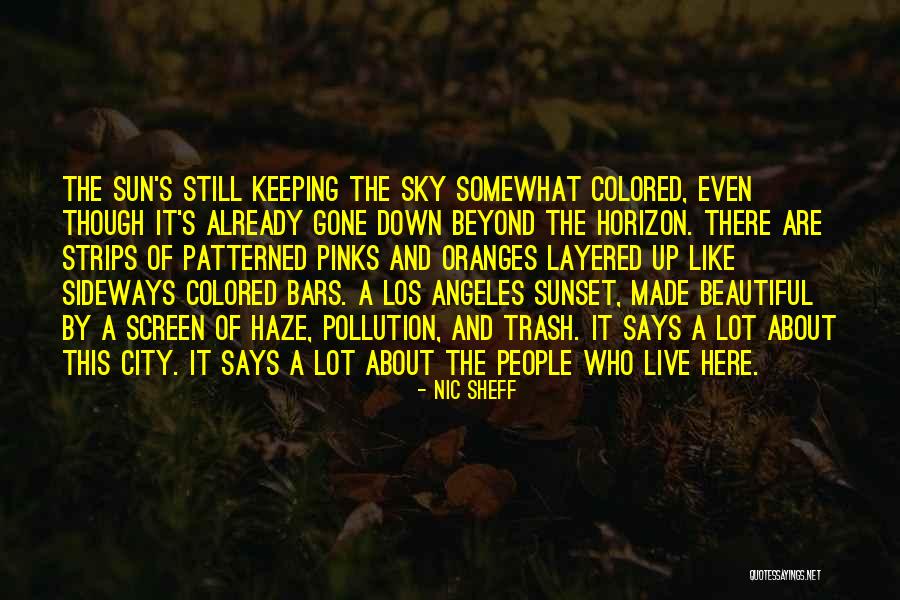 The Sky And Sunset Quotes By Nic Sheff